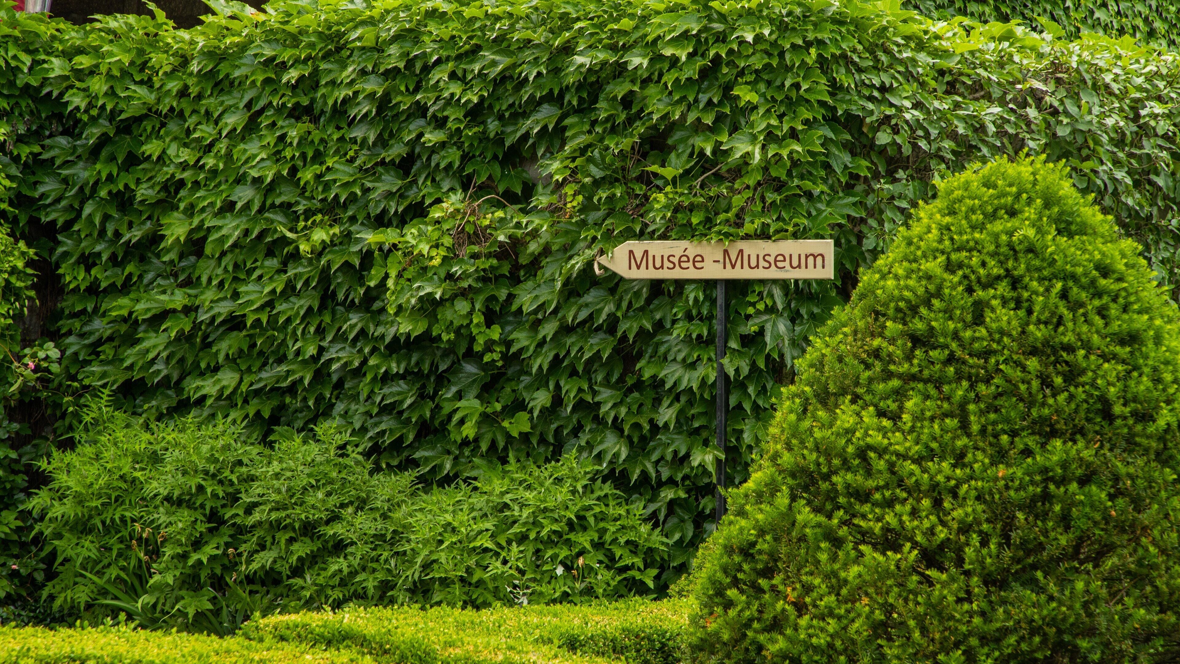 Chateau Ramezay Museum showing signage and a garden