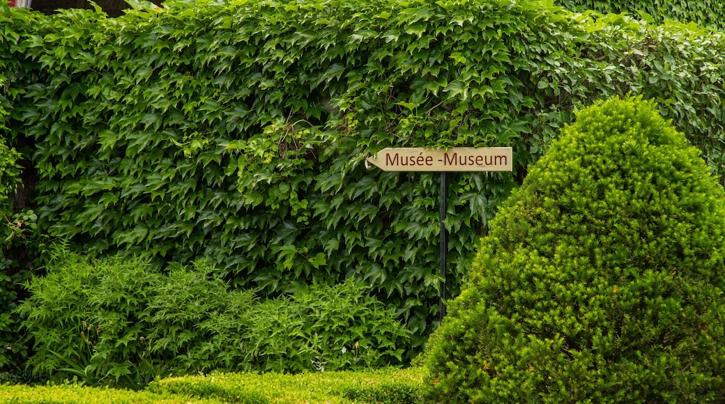 Chateau Ramezay Museum showing signage and a garden