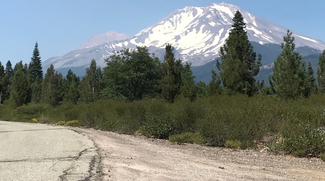 Summer on Mount Shasta