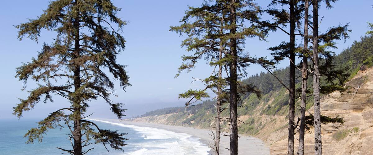 Agate beach on the coast of California, USA