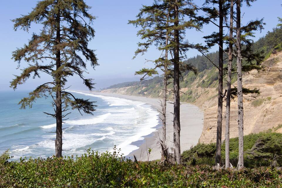 Paisagem costeira com uma praia de areia, ondas do oceano e uma floresta de árvores altas.