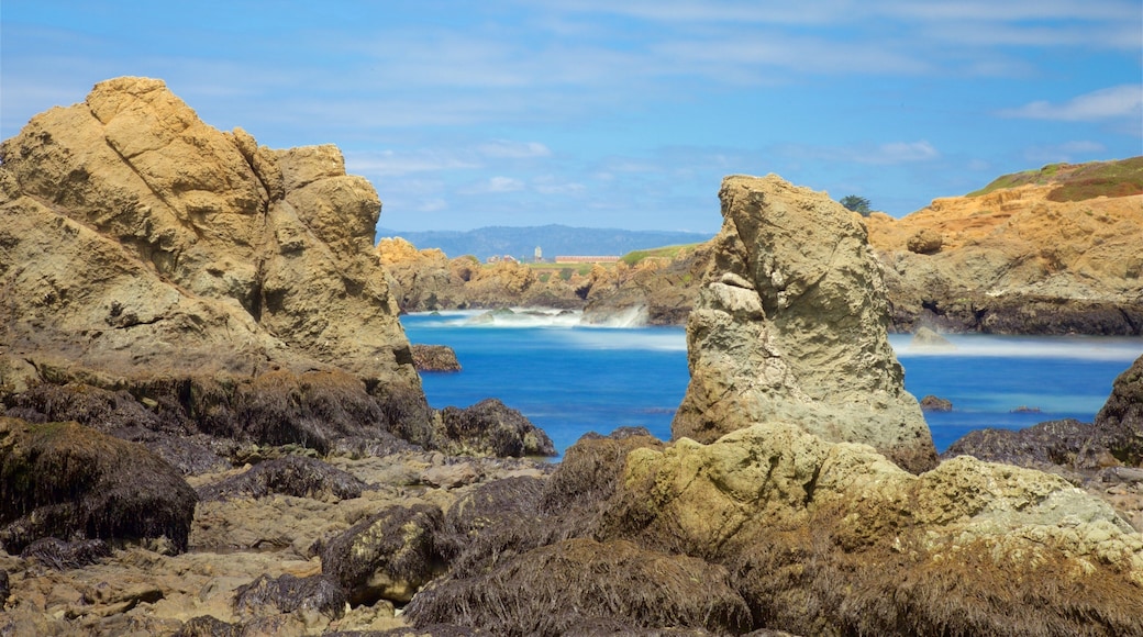 Glass Beach showing general coastal views and rocky coastline