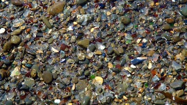 Uma coleção de pedras e seixos de diferentes formas e cores.