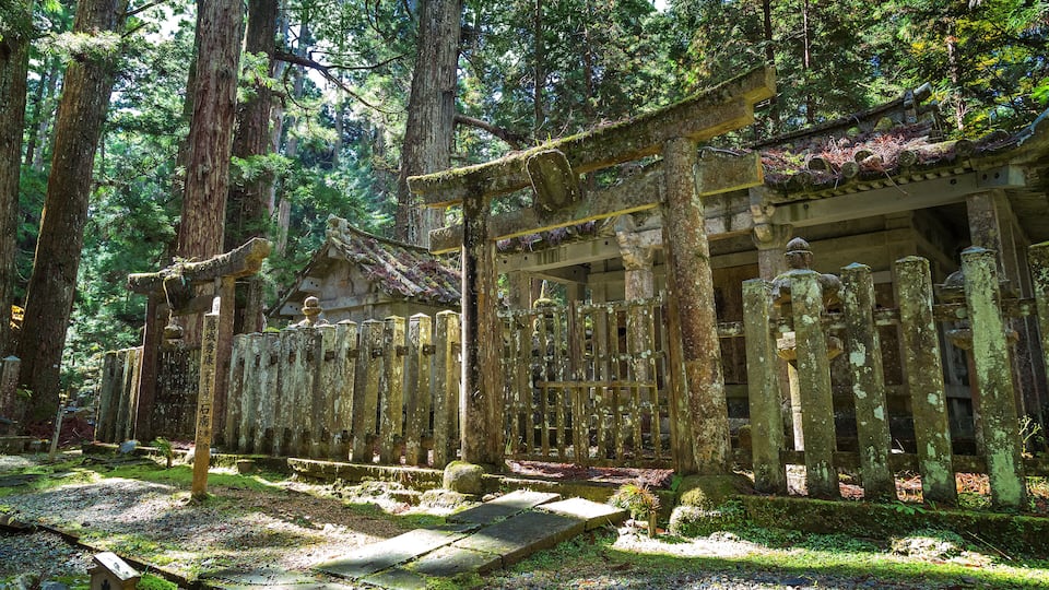 A traditional Japanese temple surrounded by tall trees and moss-covered stone structures.