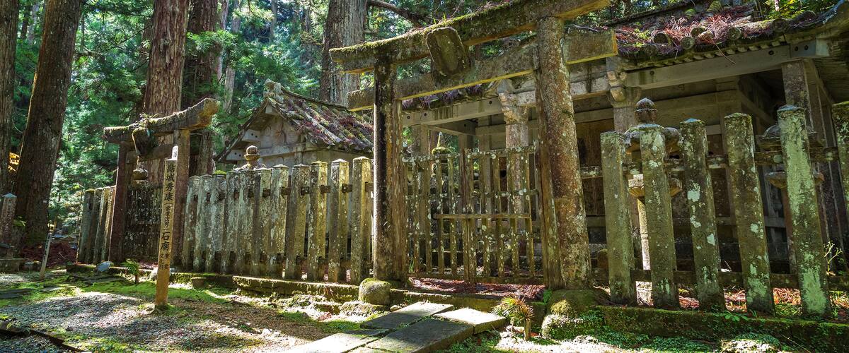 A traditional Japanese temple surrounded by tall trees and moss-covered stone structures.