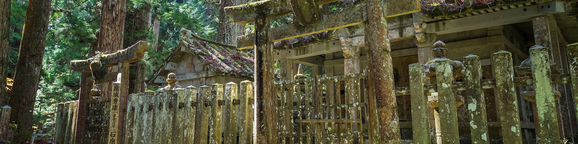 A traditional Japanese temple surrounded by tall trees and moss-covered stone structures.
