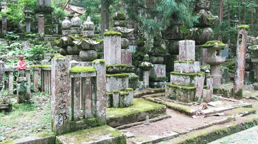 Japan's largest cemetery is a peaceful, beautiful place to explore.