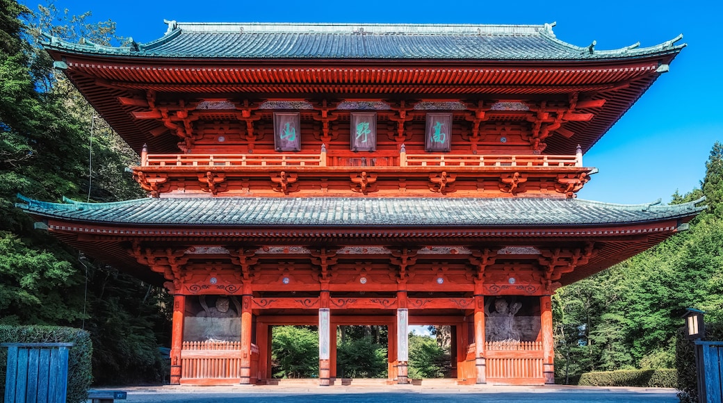 Daimon gate, the entrance to the famous pilgrimage town on Mount Koyasan, Kansai, Japan
