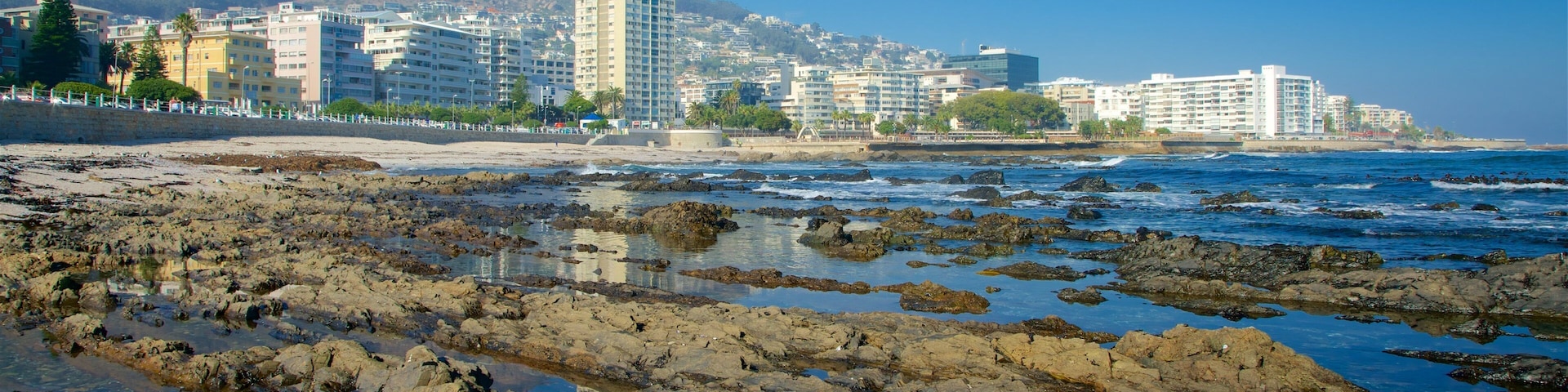 Milton Beach showing waves, a city and rocky coastline
