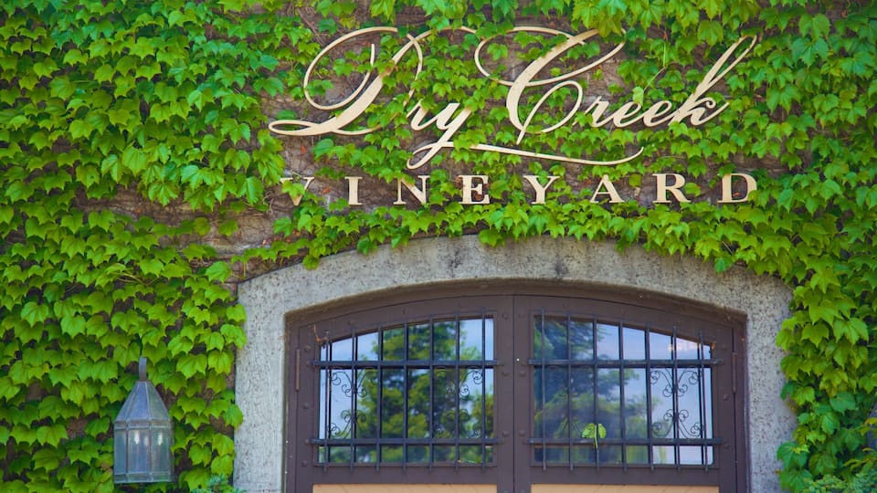 A vineyard sign with "Dry Creek Vineyard" written above a stone archway.