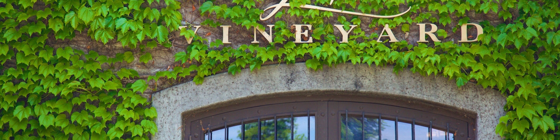Dry Creek Vineyard showing signage