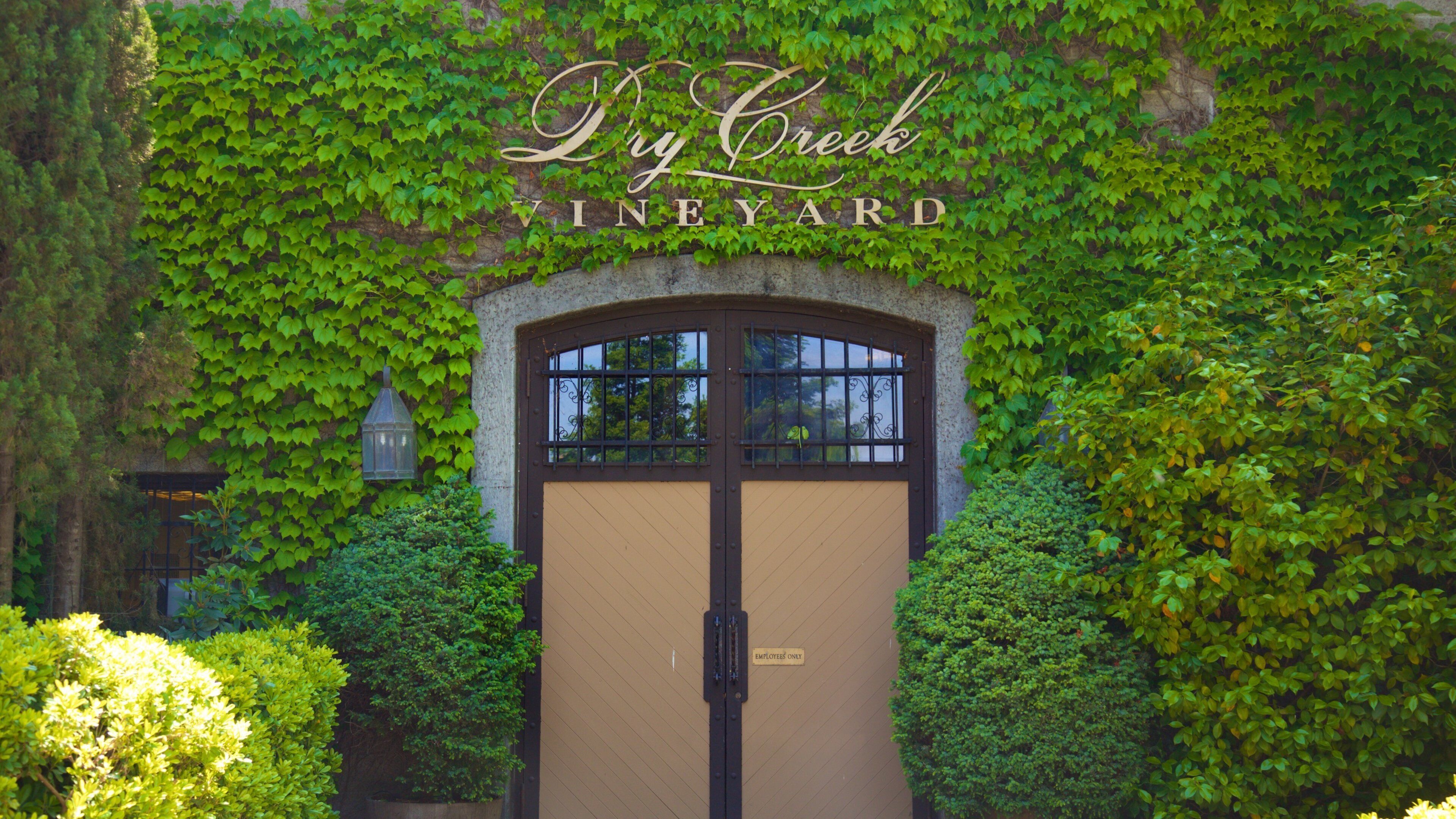 Dry Creek Vineyard featuring signage