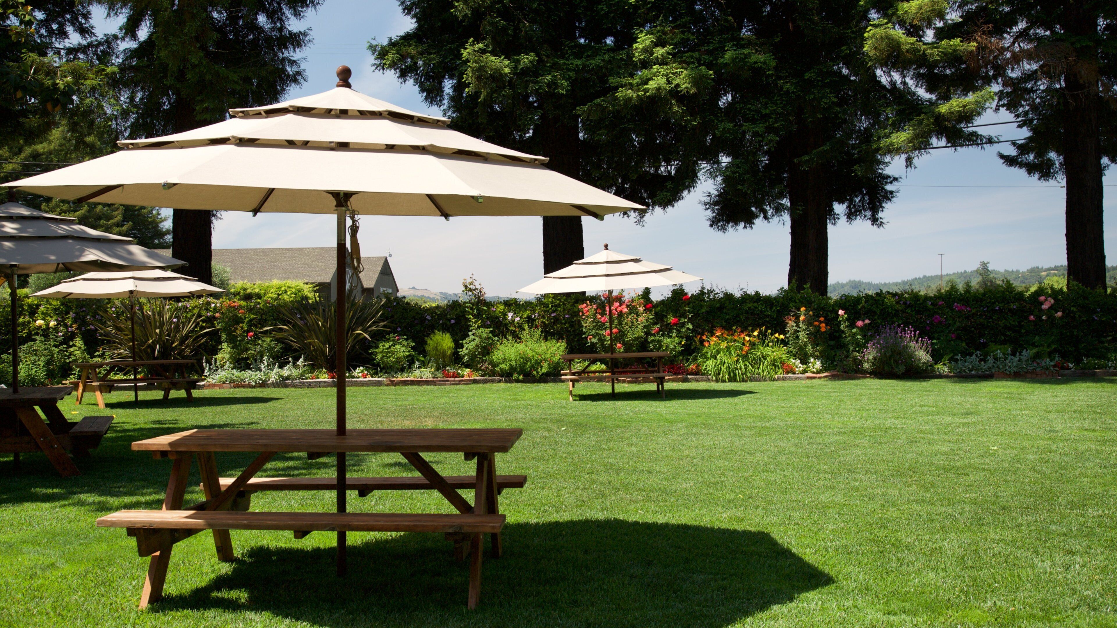 Dry Creek Vineyard featuring a park