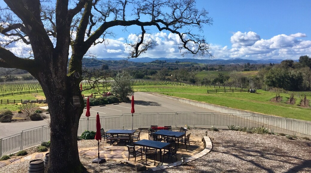 Beautiful
View from the deck at Hanna Winery.