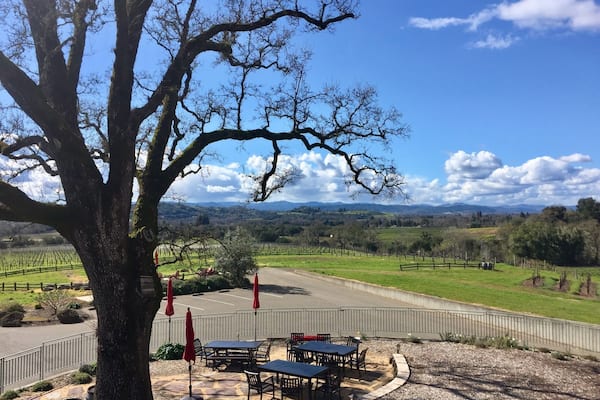 Beautiful
View from the deck at Hanna Winery.