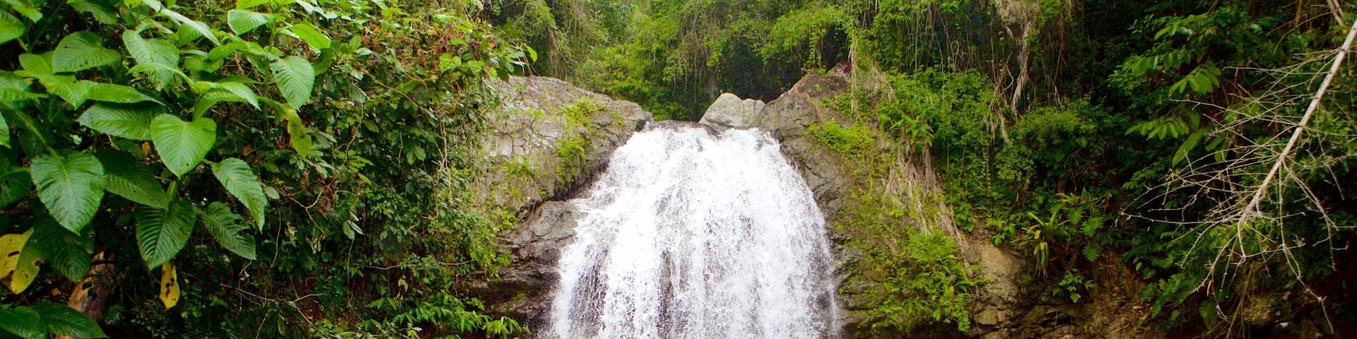 Blue Mountains National Park featuring a cascade and a lake or waterhole