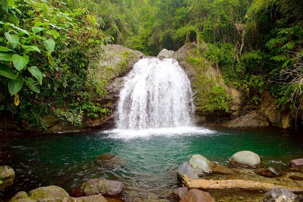 Blue Mountains National Park featuring a cascade and a lake or waterhole