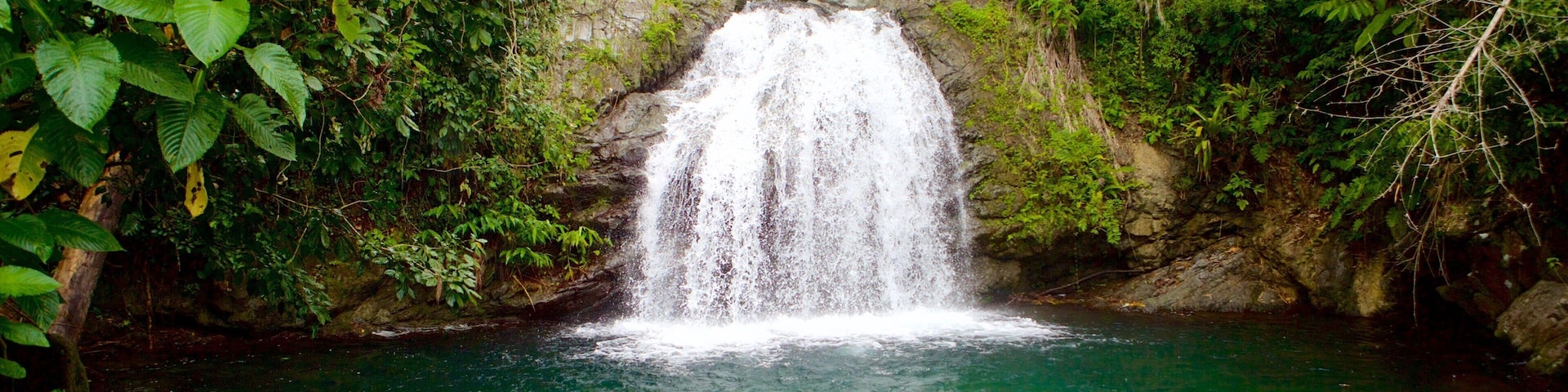 Blue Mountains National Park featuring a cascade and a lake or waterhole