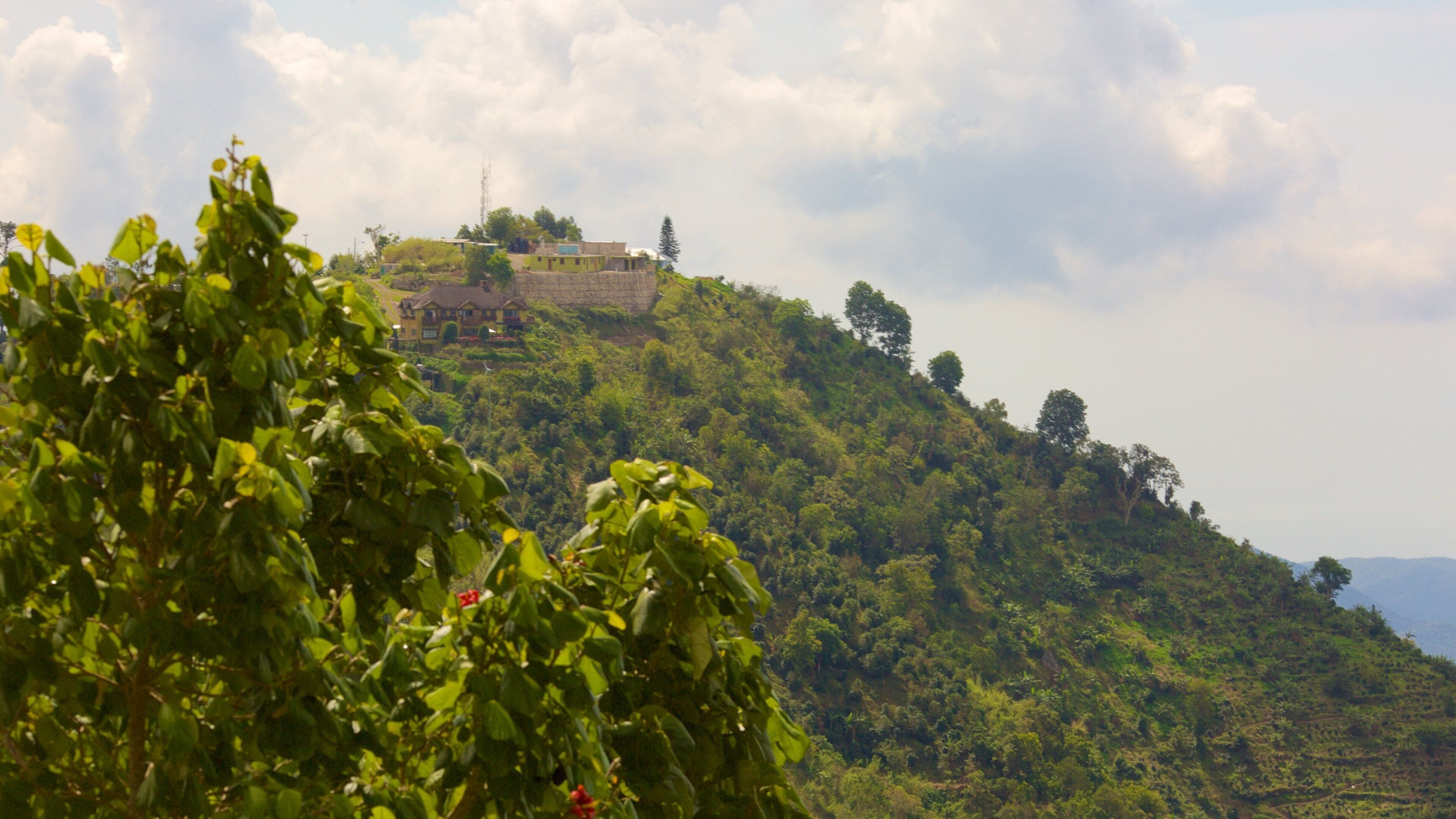 ホリウェル パーク フィーチャー 山々