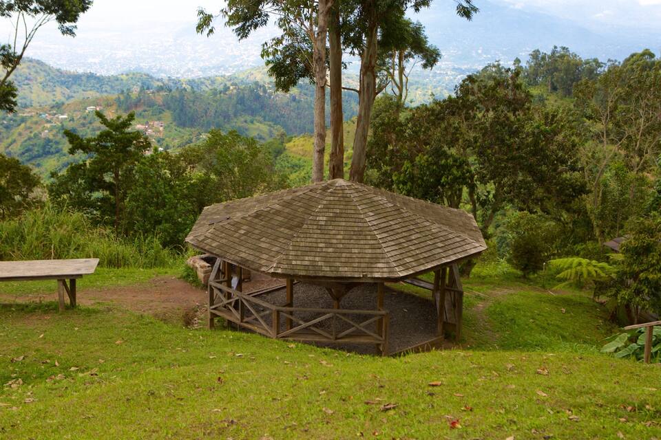 Un pabellón de madera rodeado de exuberante follaje y un paisaje urbano lejano.