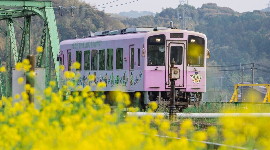 Local purple train of Nogata Heisei Chikuho Railway in Fukuoka, Japan. Taken in Nogata City, Fukuoka, Japan on April 7, 2019 in spring season. A beautiful view with yellow flowers.