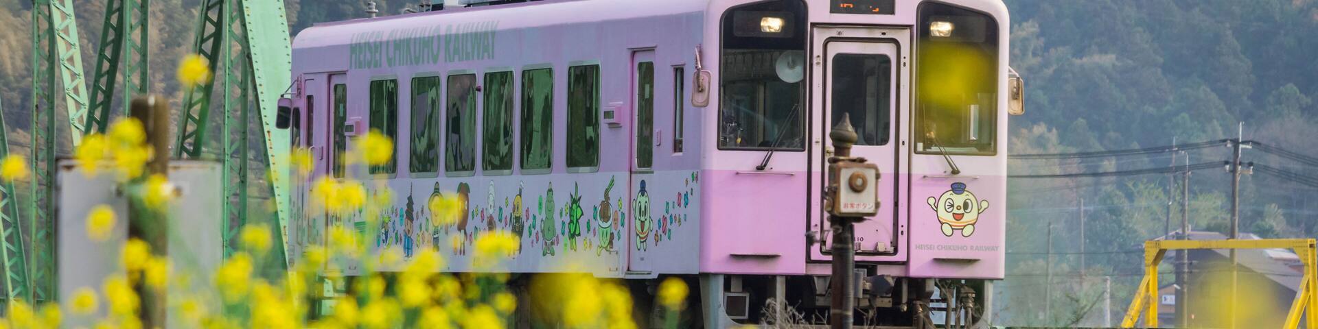 Local purple train of Nogata Heisei Chikuho Railway in Fukuoka, Japan. Taken in Nogata City, Fukuoka, Japan on April 7, 2019 in spring season. A beautiful view with yellow flowers.