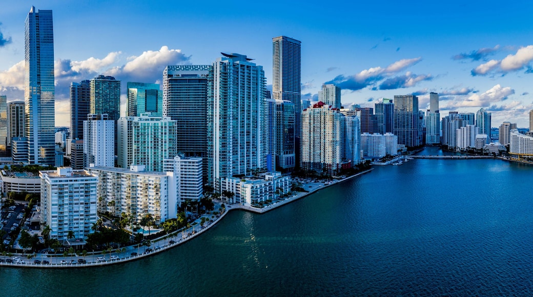 Miami Skyline