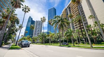Miami, Florida, USA - Jan 2016: Luxurious condominiums and hi-rises, and beautiful palm trees in Brickell Bay Drive.