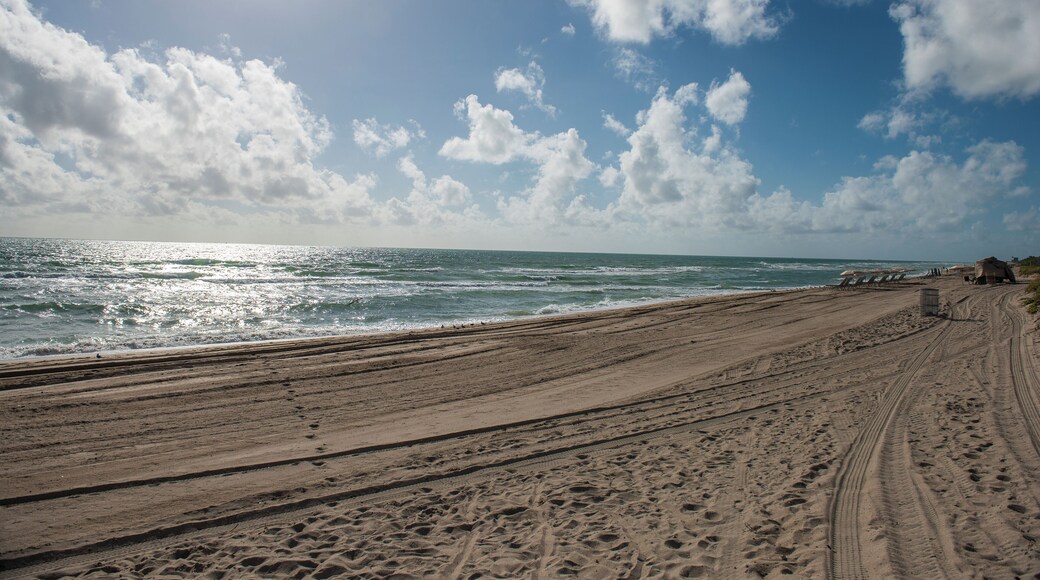 サーフサイド ビーチ