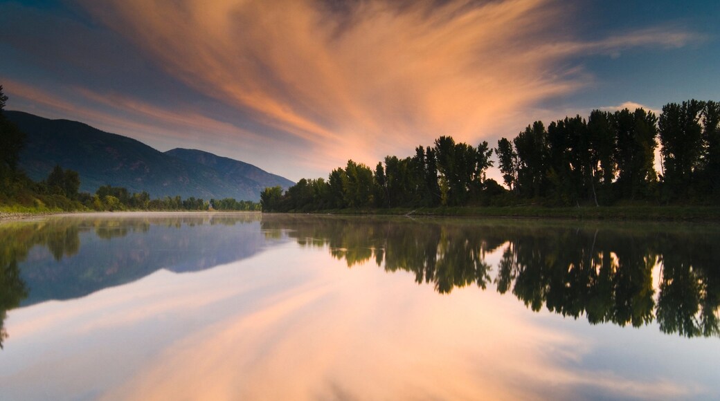 Bonners Ferry que inclui um rio ou córrego