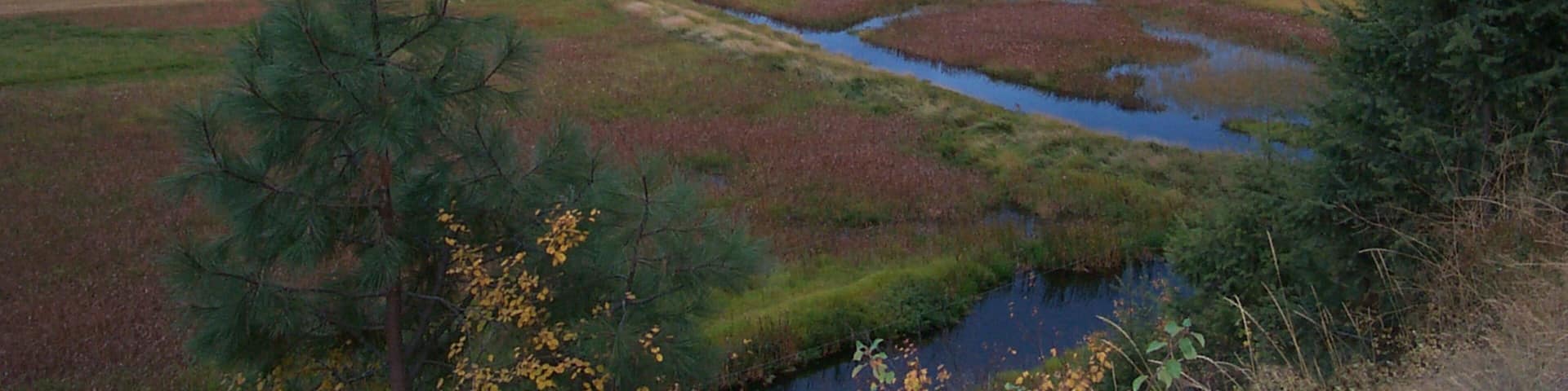 Bonners Ferry featuring tranquil scenes