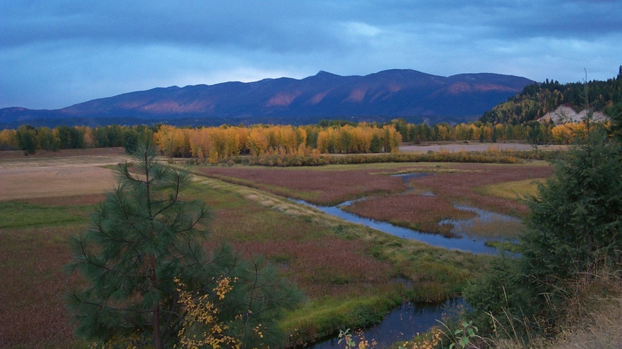 Bonners Ferry which includes tranquil scenes