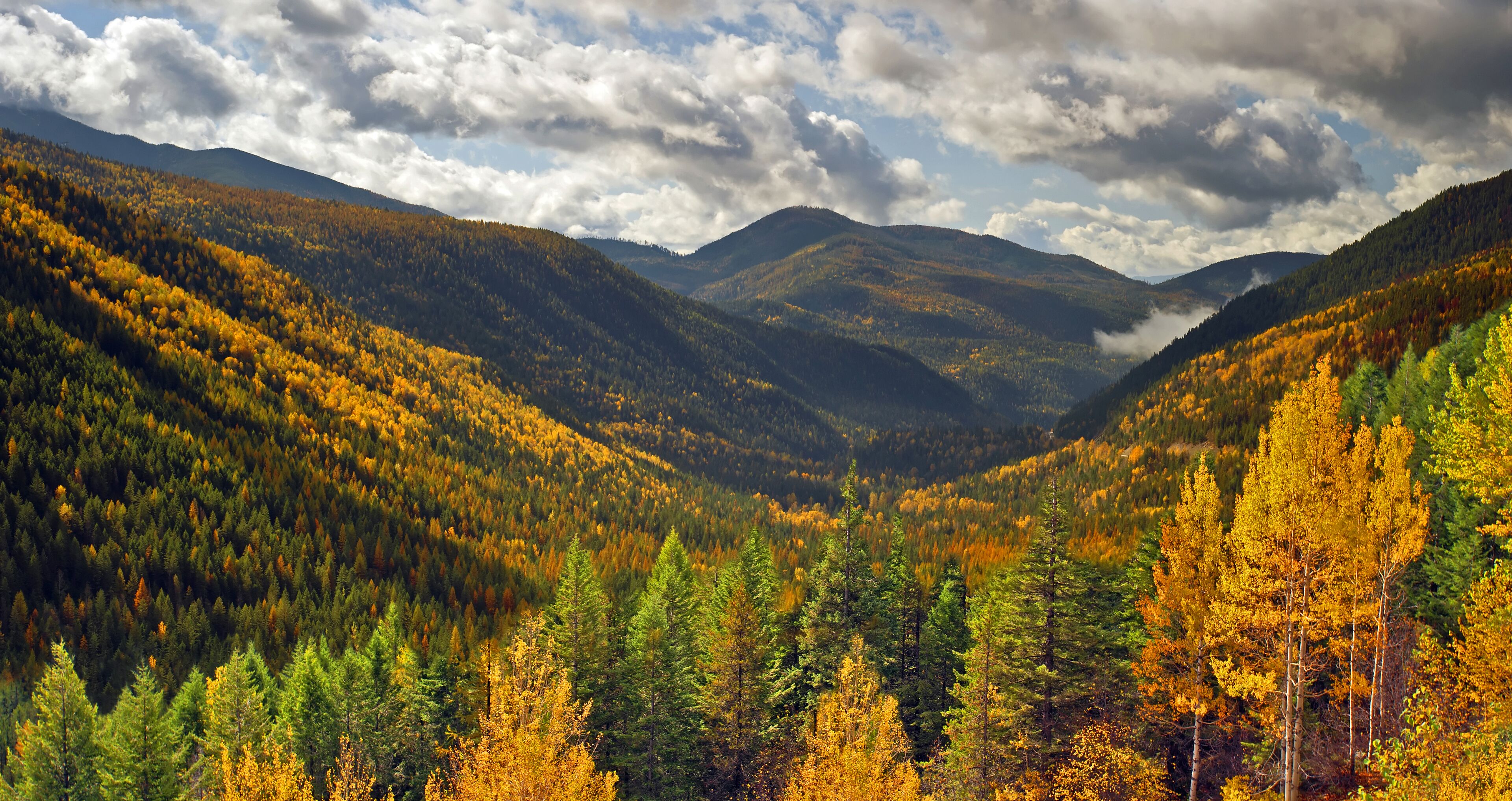 Nelson range - mountains at Kootenay Pass in fall