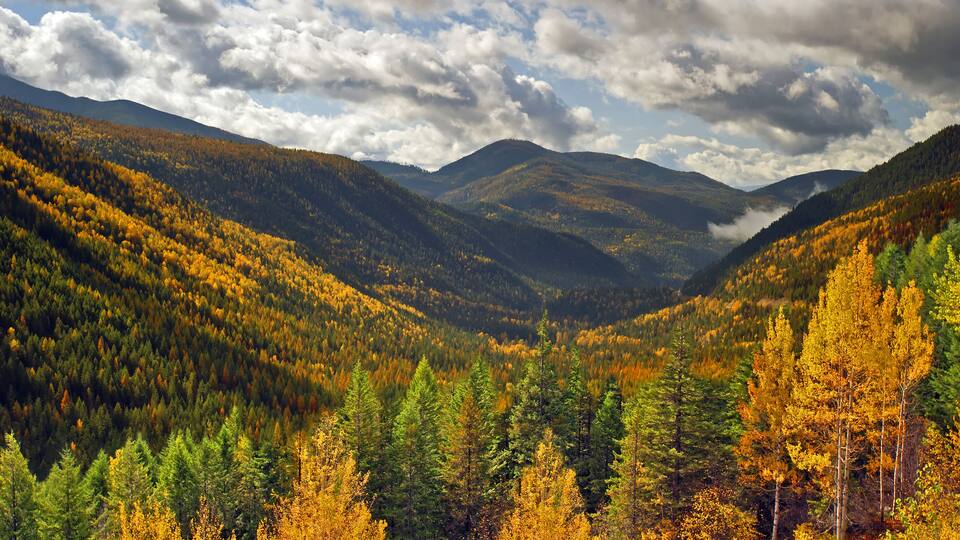 Nelson range - mountains at Kootenay Pass in fall