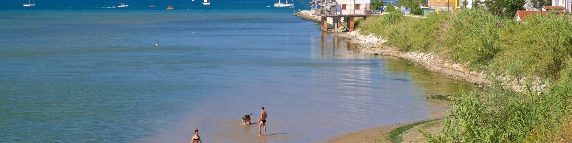 Rivabella showing general coastal views and swimming as well as a couple