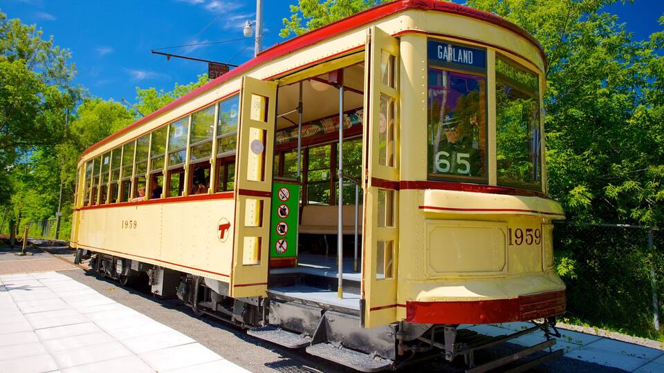 A vintage tram numbered 65, named 'GARLAND', parked on tracks with a green signboard and a red roof.