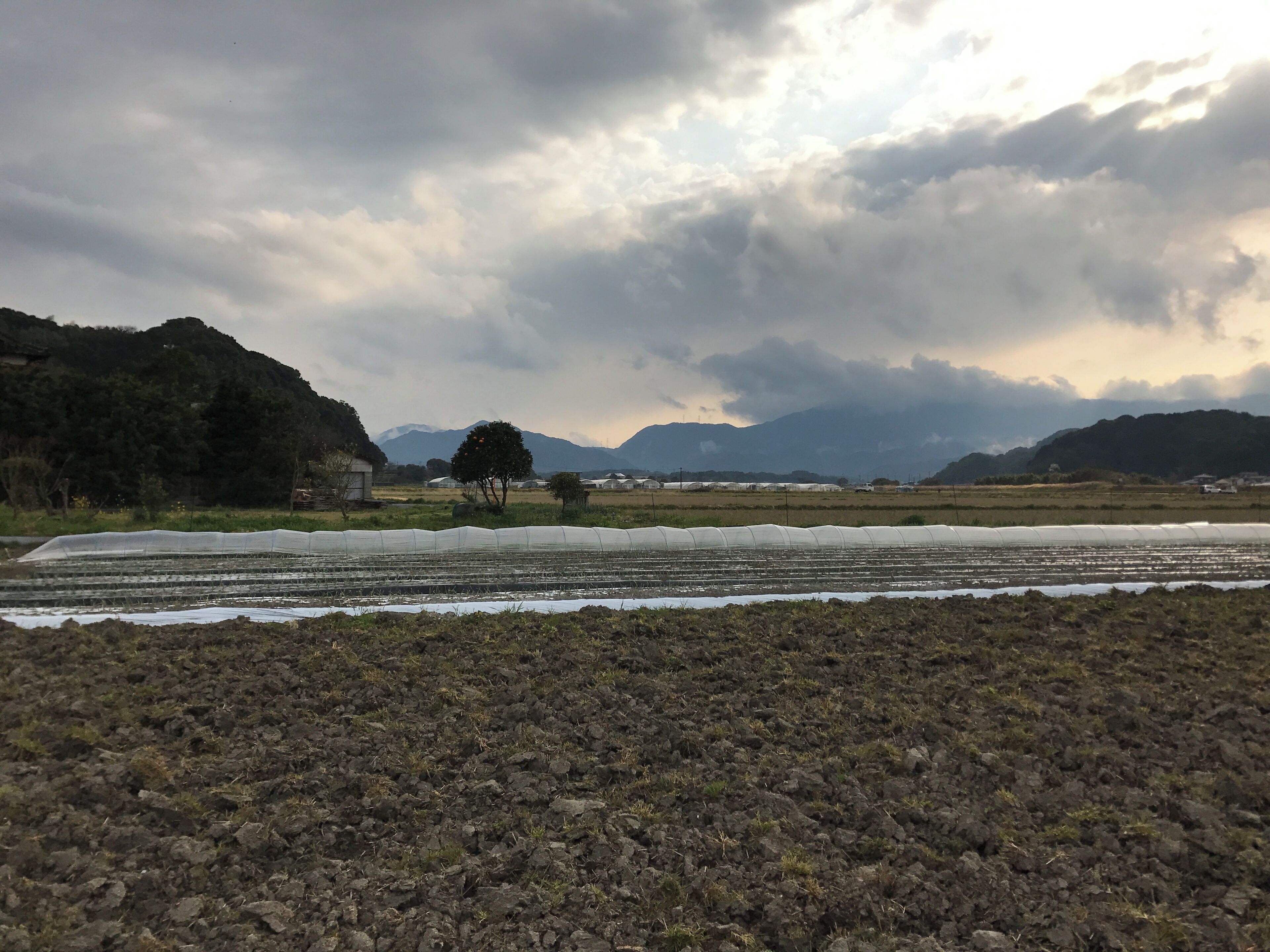 福岡県嘉穂郡桂川町寿命