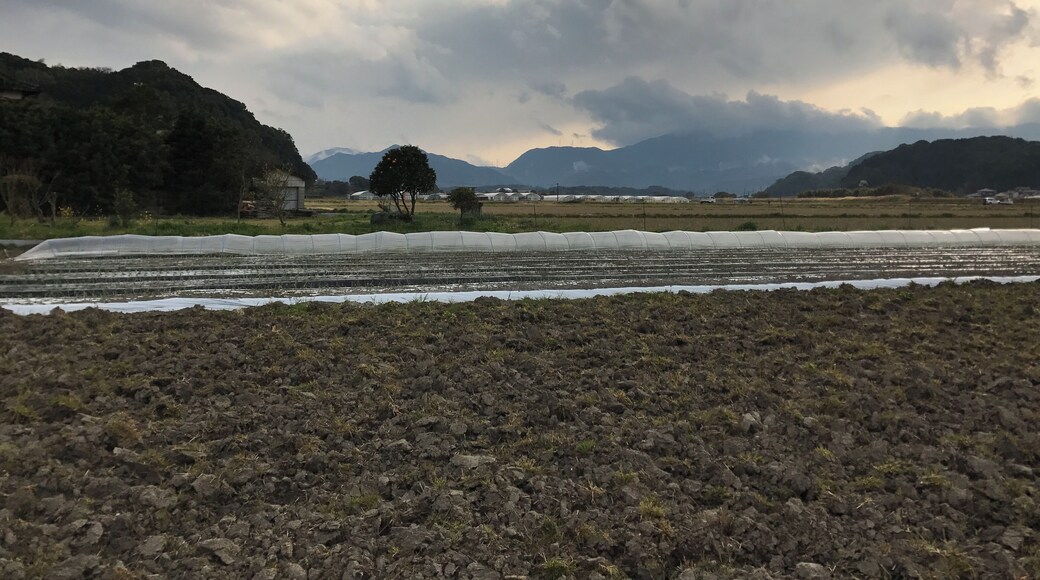福岡県嘉穂郡桂川町寿命