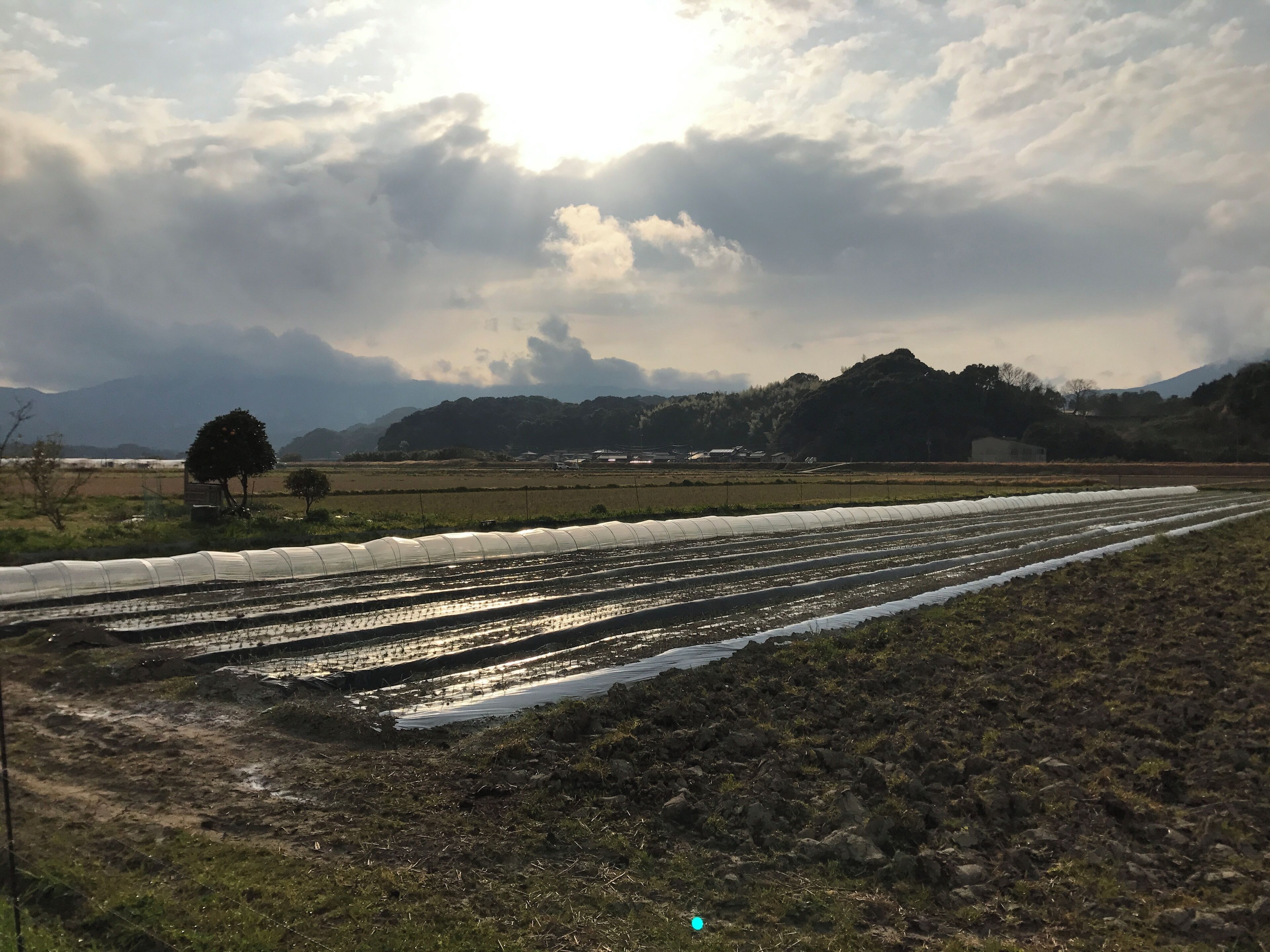 福岡県嘉穂郡桂川町寿命