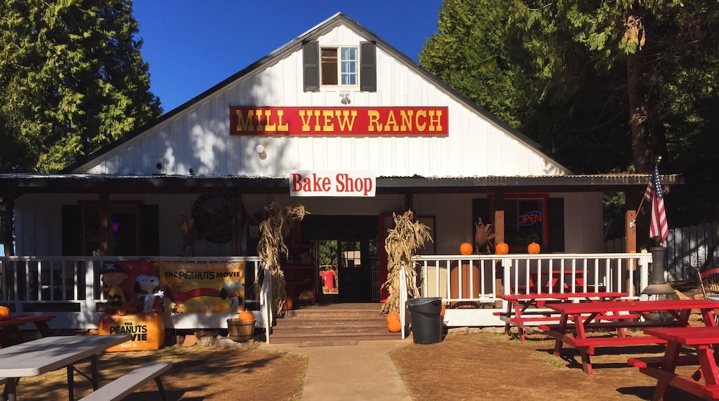 Second trip to Apple Hill this fall! Head to Mill View Ranch for U-pick apples and a neat little Kids Zone!
More on www.ajauntwithjoy.com