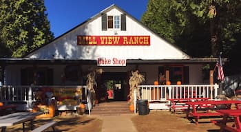 Second trip to Apple Hill this fall! Head to Mill View Ranch for U-pick apples and a neat little Kids Zone!
More on www.ajauntwithjoy.com