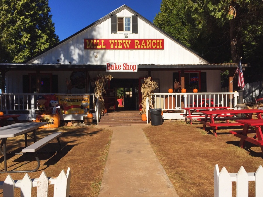 Second trip to Apple Hill this fall! Head to Mill View Ranch for U-pick apples and a neat little Kids Zone!
More on www.ajauntwithjoy.com