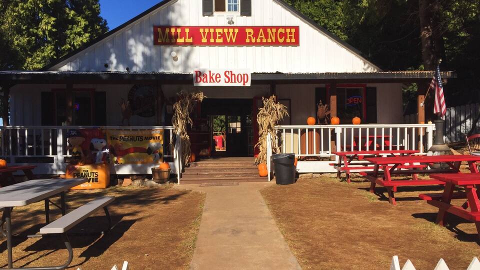 Second trip to Apple Hill this fall! Head to Mill View Ranch for U-pick apples and a neat little Kids Zone!
More on www.ajauntwithjoy.com