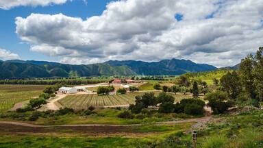 Paisaje de viñedos Santo Tomás en Valle de Guadalupe, Baja California, México