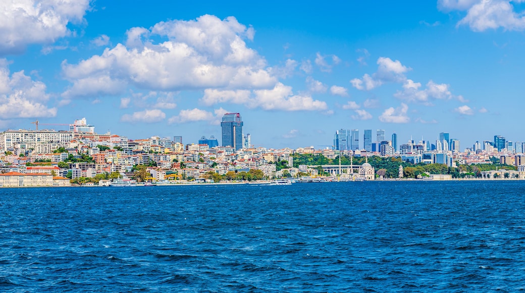 Den europeiske siden