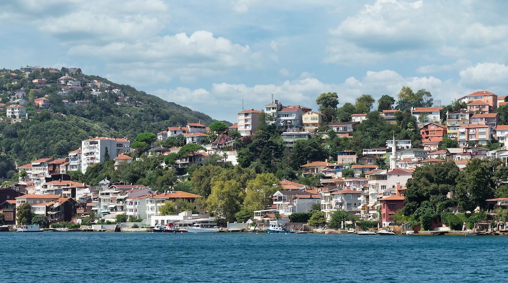 Den europeiske siden