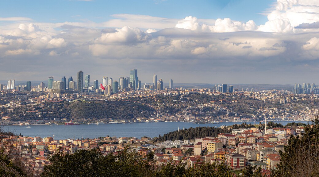 Den europeiske siden