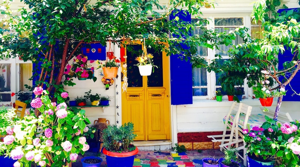 What a lovely house, isn't it?
#colorful #BestOf5