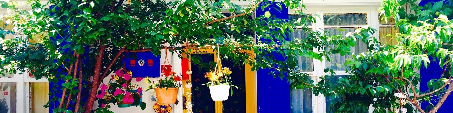 What a lovely house, isn't it?
#colorful #BestOf5