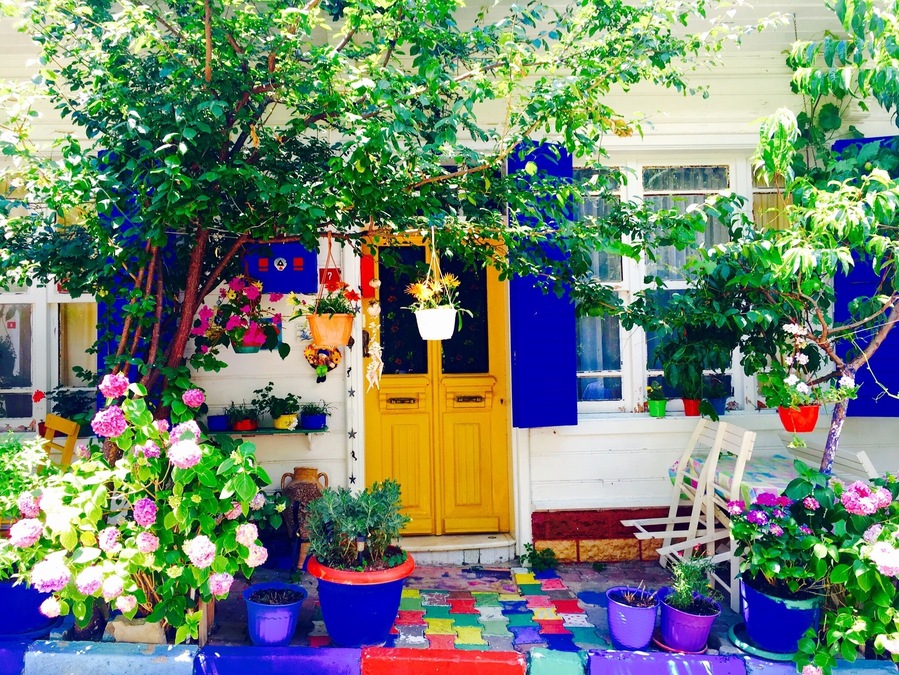 What a lovely house, isn't it?
#colorful #BestOf5